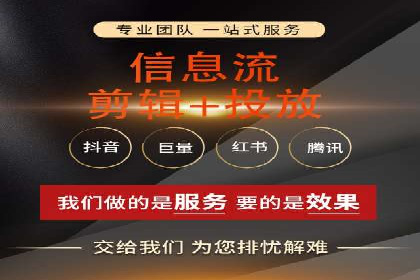 SEM搜索引擎优化成功案例，揭示优化策略与技巧